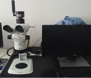 分子结构检测